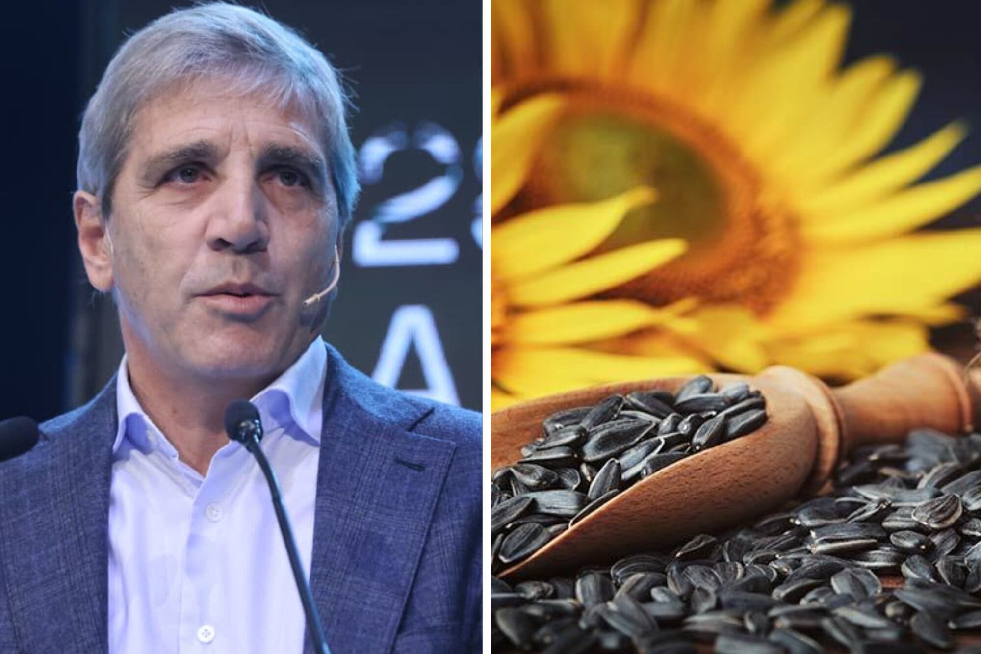 Lo anunció Caputo: el agro ya exportó por US$17.095 millones y alcanzó un récord en volumen