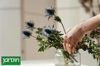 Las plantas fáciles de cuidar que ahora son tendencia entre paisajistas y floristas