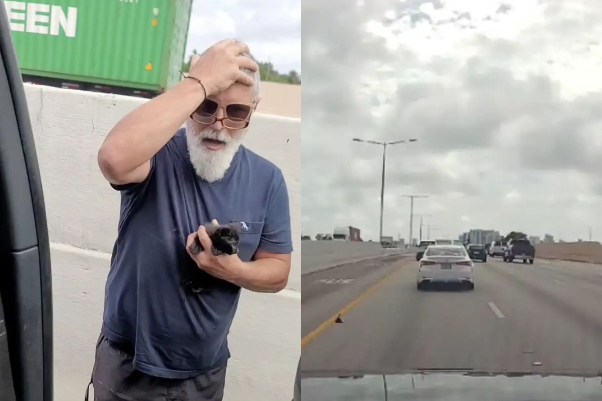 Vio un punto negro en el medio de la ruta, frenó de golpe y cuando se dio cuenta lo que era se quedó sin palabras