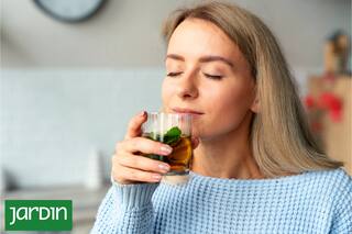 Cuál es la aromática que podría ser la clave para terminar con el acné