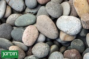 Cuáles son y para qué se usa cada una en jardinería y paisajismo