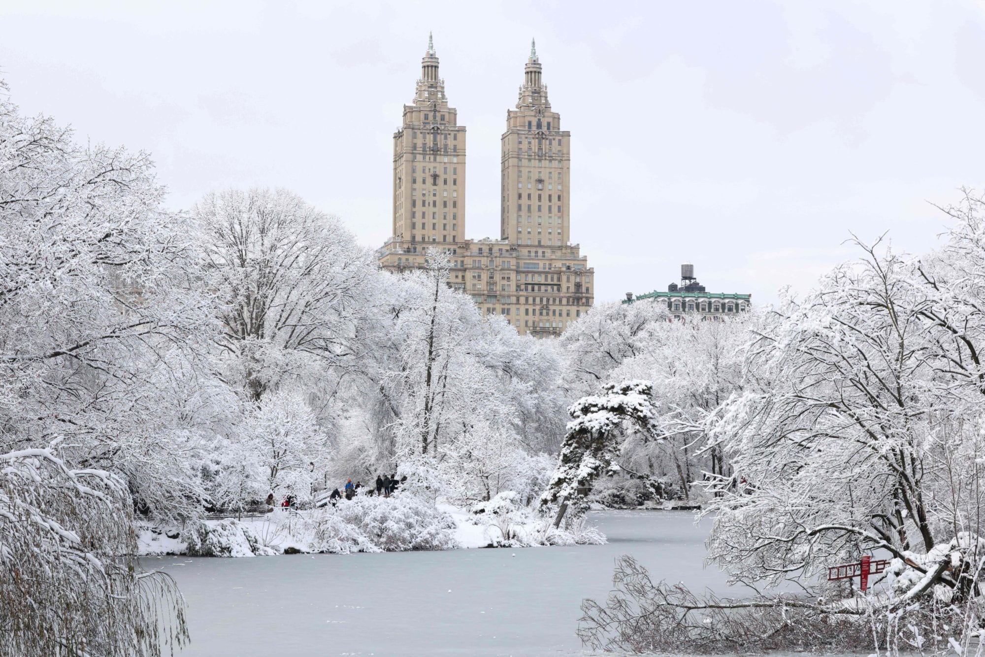 Central Park, cubierto de nieve