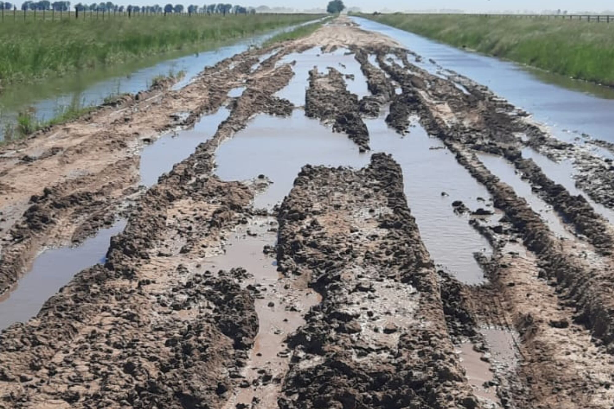 Los caminos rurales de Coronel Suárez