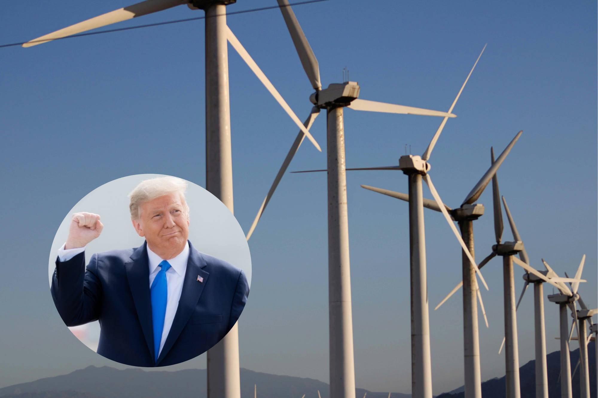 Donald Trump suspende la actividad de parques eólicos en Nueva York y Nueva Jersey