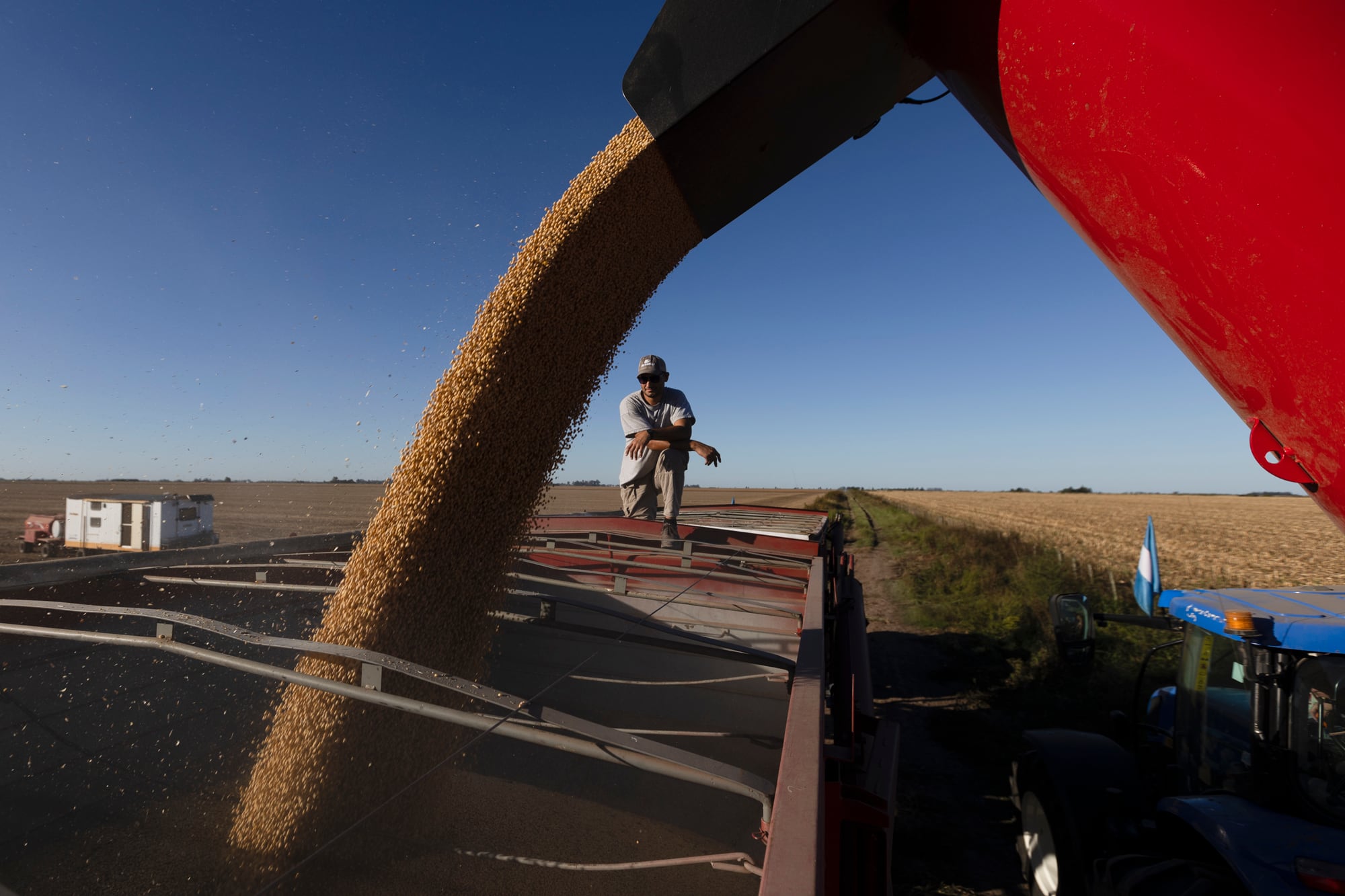 Impacto: tras tocar el precio más alto en 16 meses en Chicago, la soja sin vender de la Argentina se valorizó en hasta US$375 millones