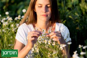 Guía definitiva para crear tu primer jardín de flores comestibles