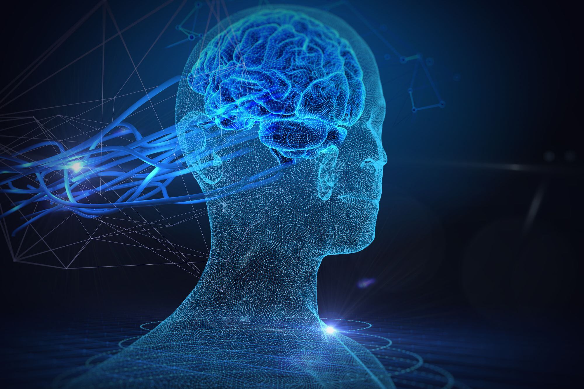 Estas plataformas combinan juegos interactivos y ejercicios diseñados para activar diferentes áreas del cerebro, ofreciendo una herramienta innovadora para el entrenamiento cognitivo