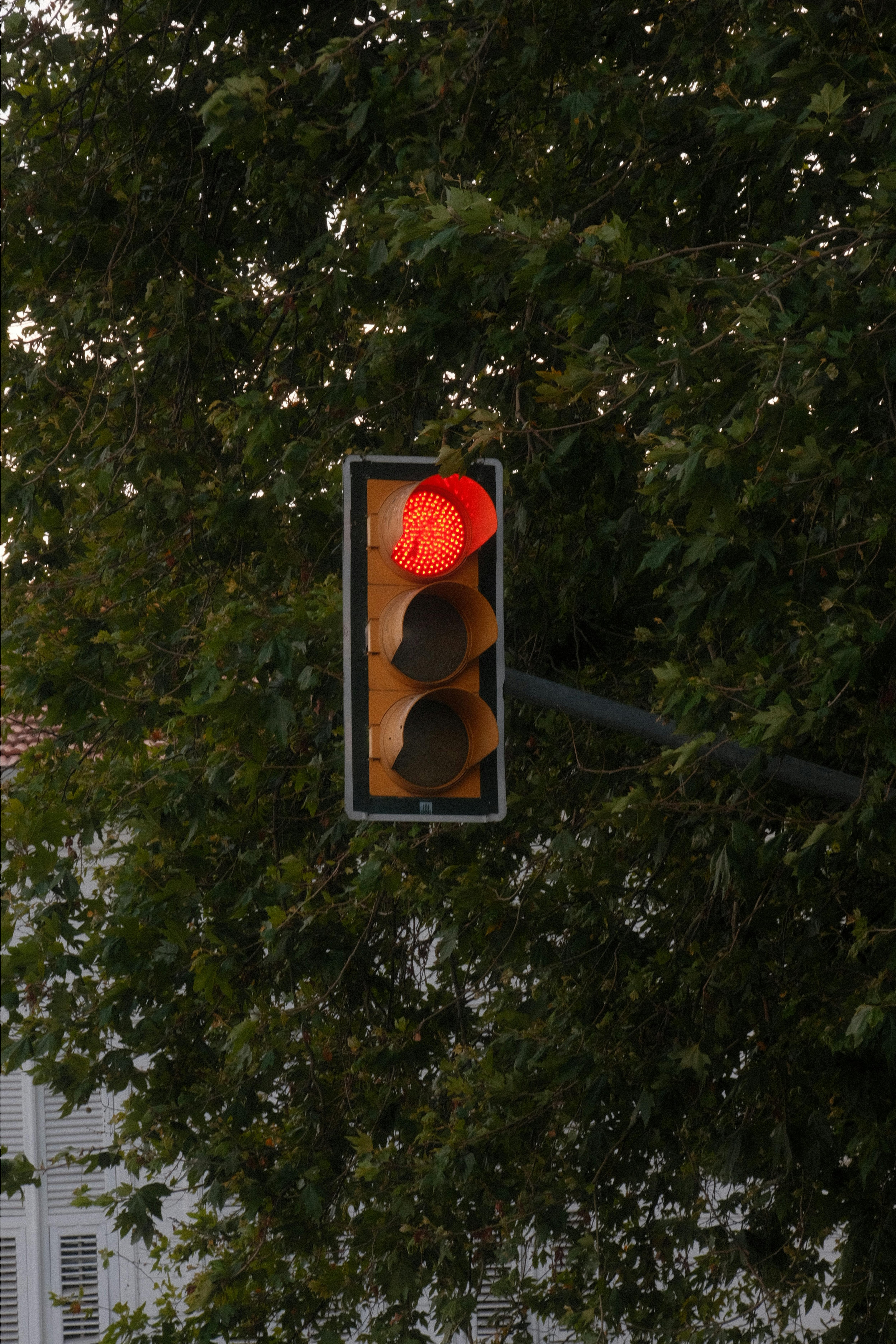 Todos los autos deben hacer alto total en la luz roja intermitente en los semáforos de Nueva York