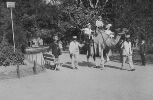 De paseo en camello por el Zoológico de Buenos Aires