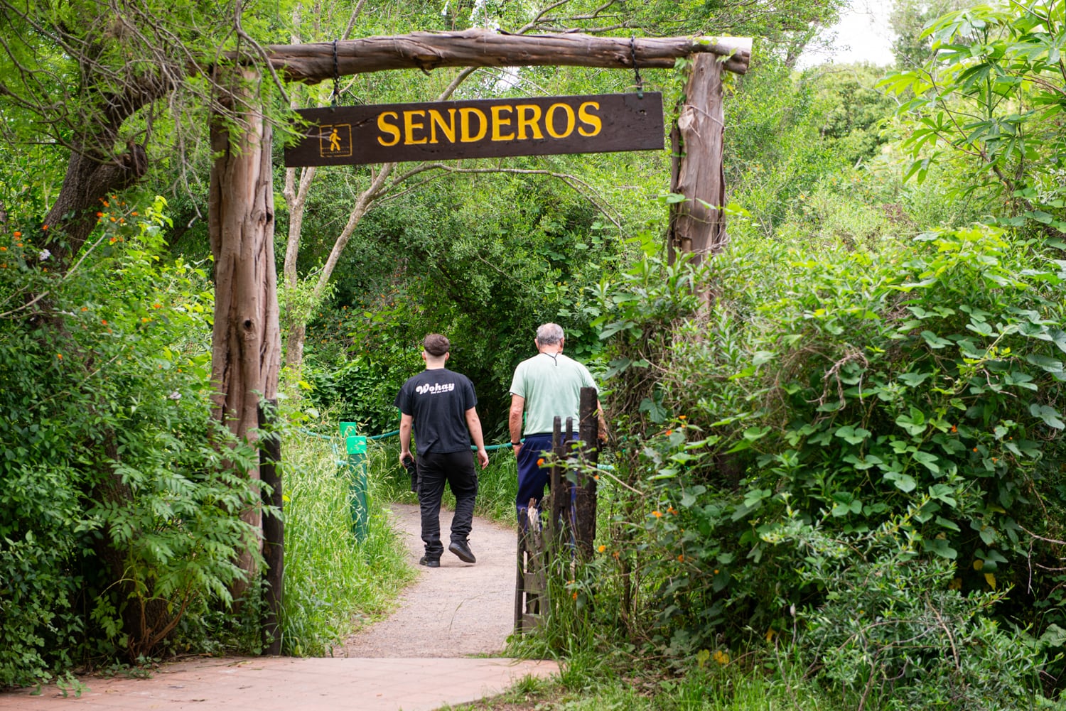 “Caminando por los senderos encontraremos los restos de un antiguo molino y la demarcación de los potreros a través de las ‘líneas de talas’, una sucesión de árboles que crecieron siguiendo las antiguas líneas de postes de alambrado”, describe Canteros
