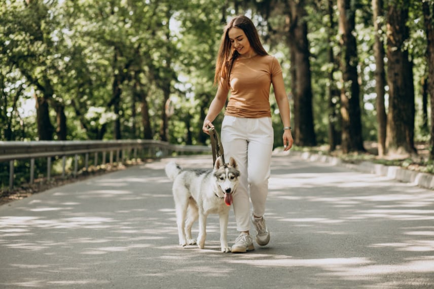 El ejercicio ayuda a captar la atención del perro desde el inicio (Foto: Freepik)