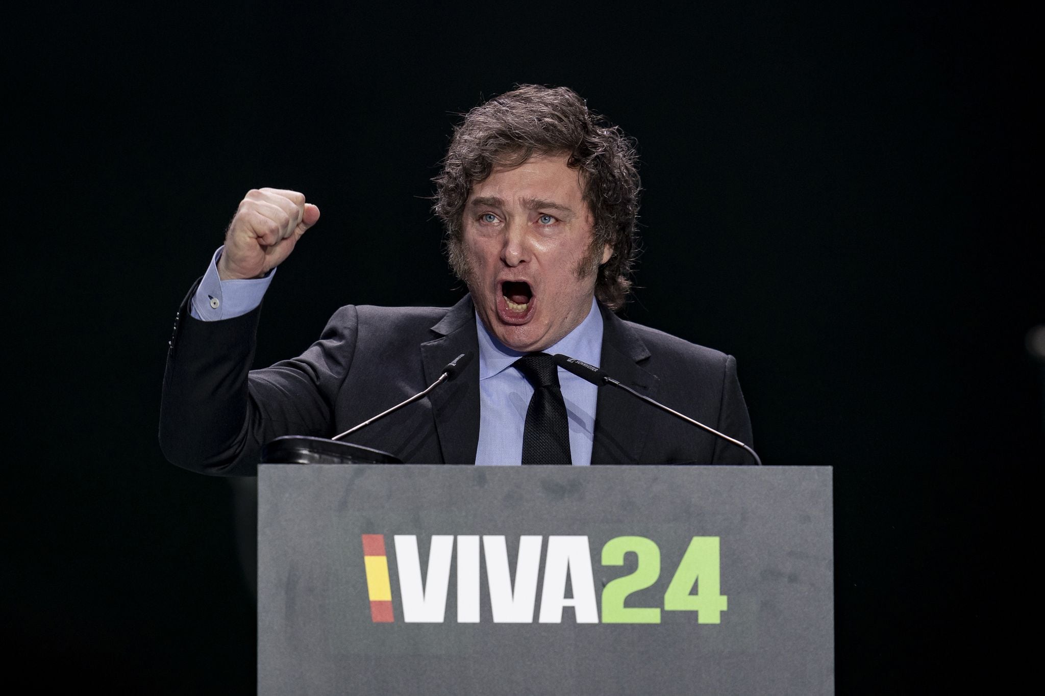 El presidente de Argentina, Javier Milei, intervino durante el acto 'Viva 24' de VOX. Pérez Meca - Europa Press