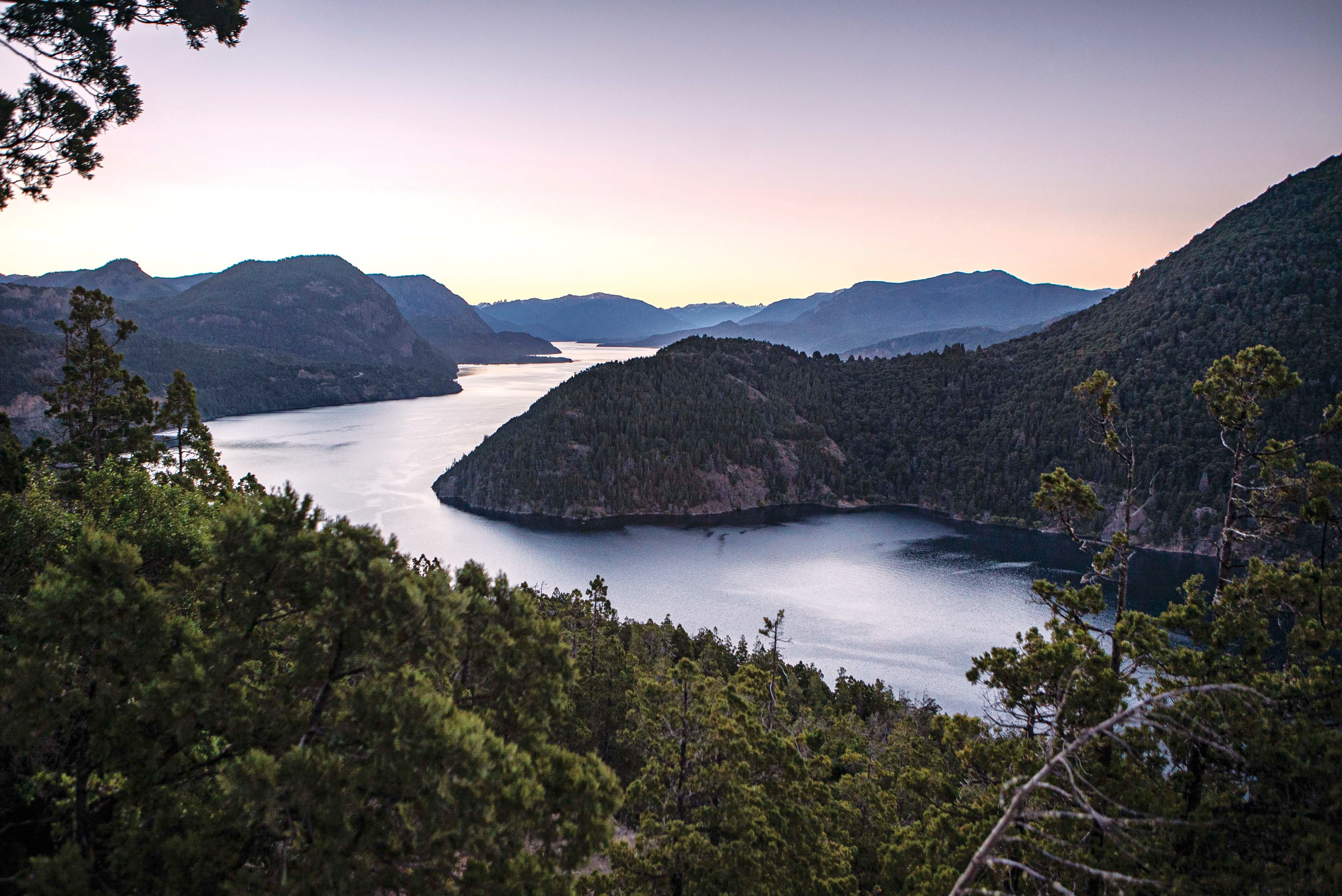 Parque Nacional Lanín, el lugar elegido para la plantación de árboles nativos a cargo de la organización Amigos de la Patagonia.