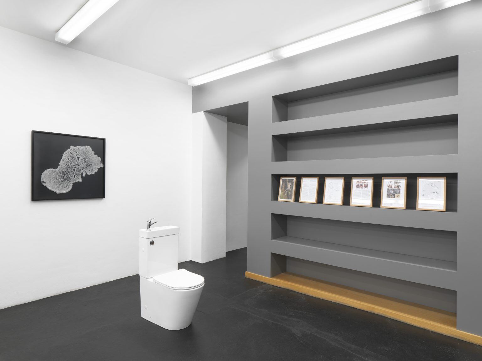 Uno de los inodoros diseñados por el estudio Saraceno, exhibido el año pasado en la galería neugerriemschneider en Berlín