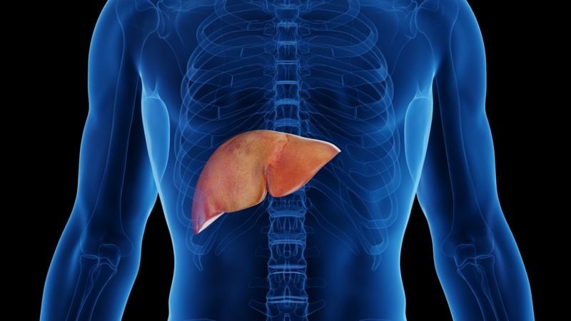 Hígado graso: cuánto pan se puede consumir al día sin afectar la salud