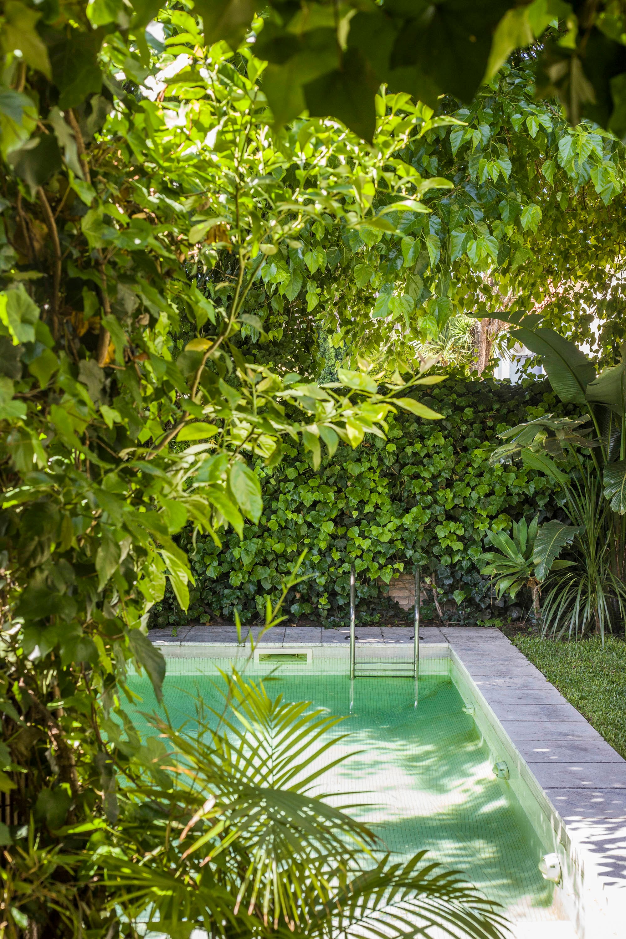 La Casa Kurchan en Martínez de Gaby Candioti logra mimetizarse con la vegetación circundante