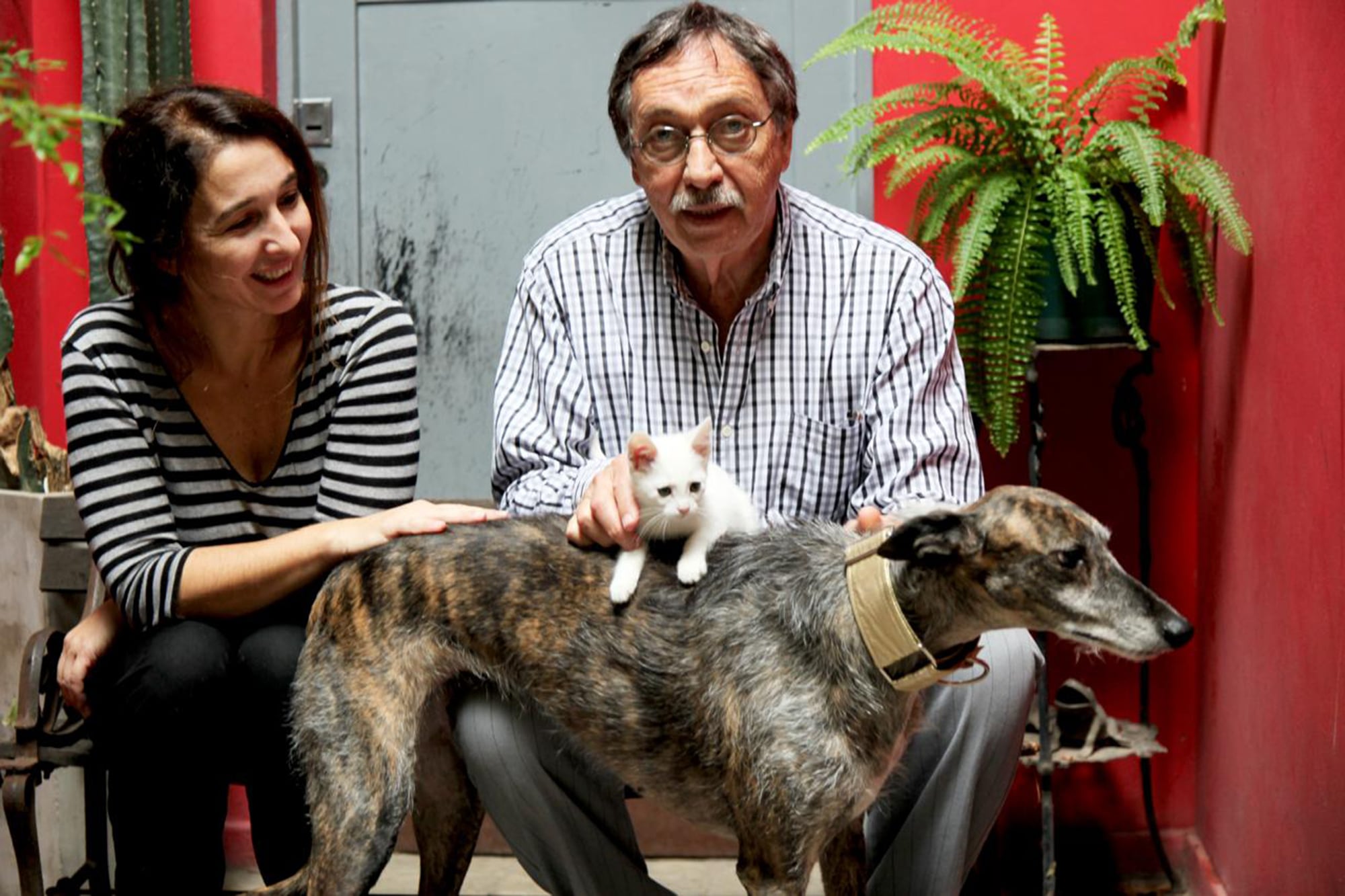 Saula, Brandoni y la perra Ema con una gatita blanca en el lomo