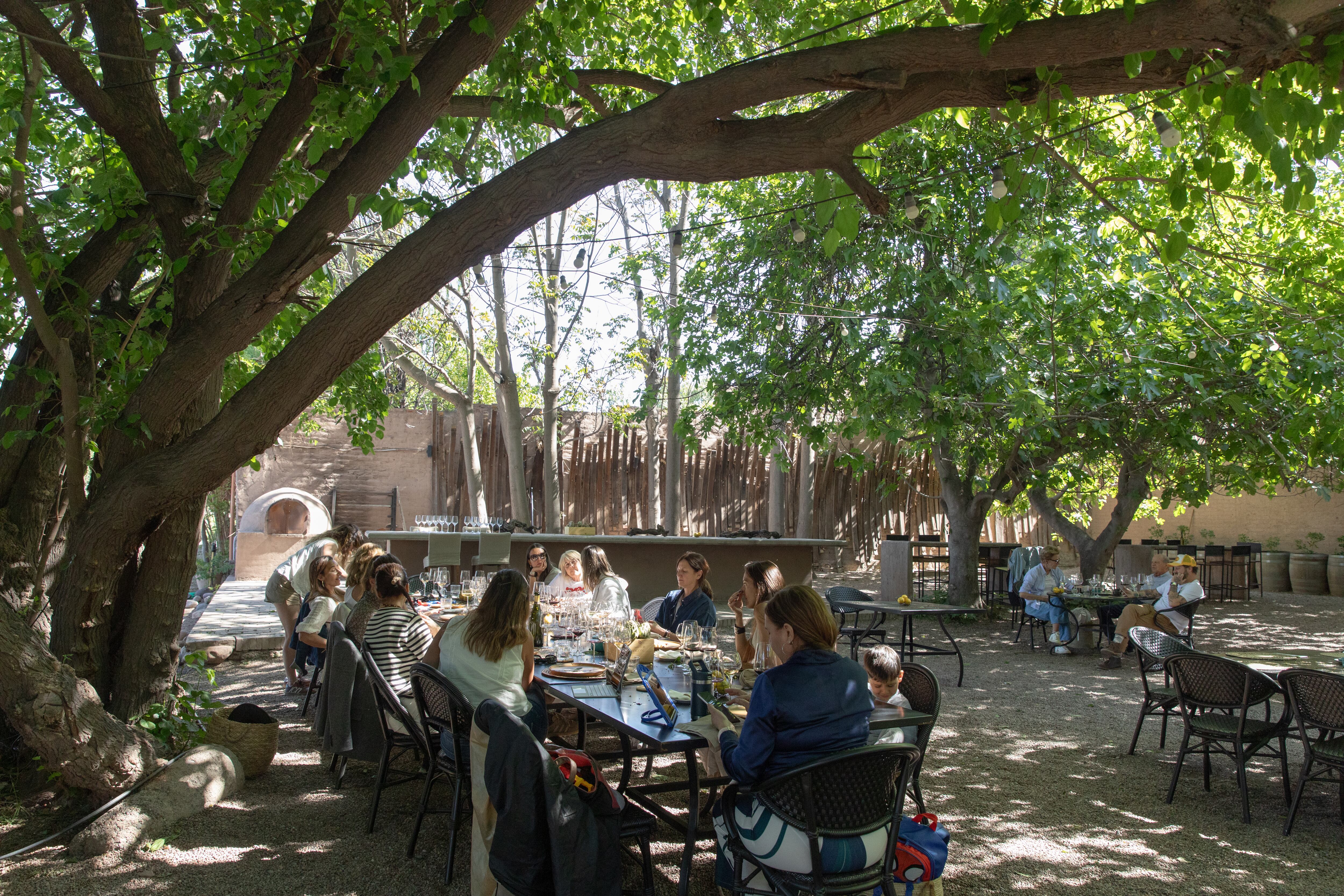 Hay mesas que se colocan afuera, debajo de los árboles