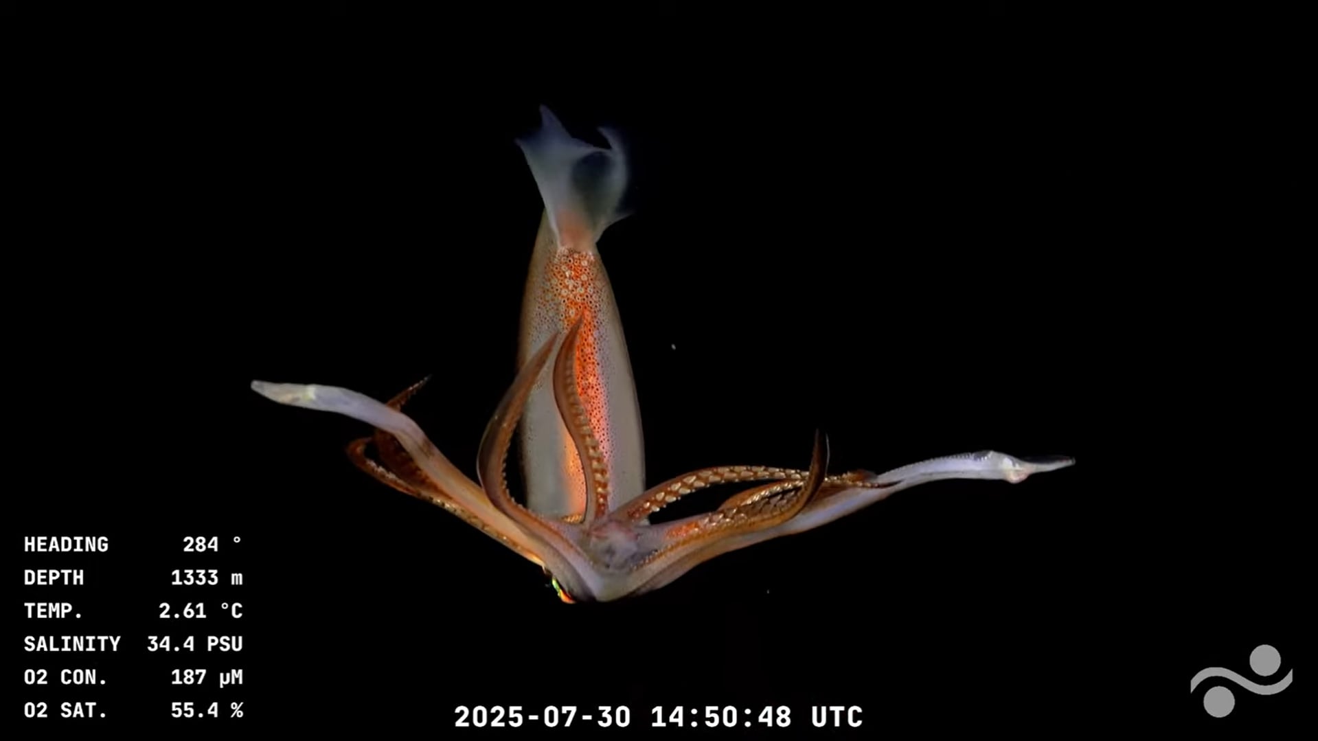 Entre otras acciones destacadas, el equipo espera generar modelos 3D de especies emblemáticas y producir material educativo para escuelas, museos y clubes de ciencia