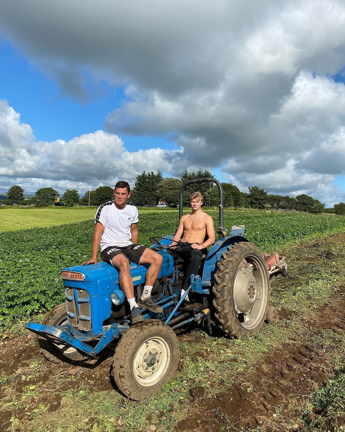 Erling Haaland en un cultivo de papas