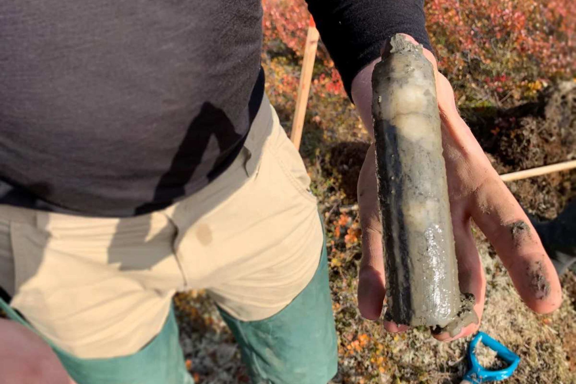La muestra tomada del permafrost de Alaska