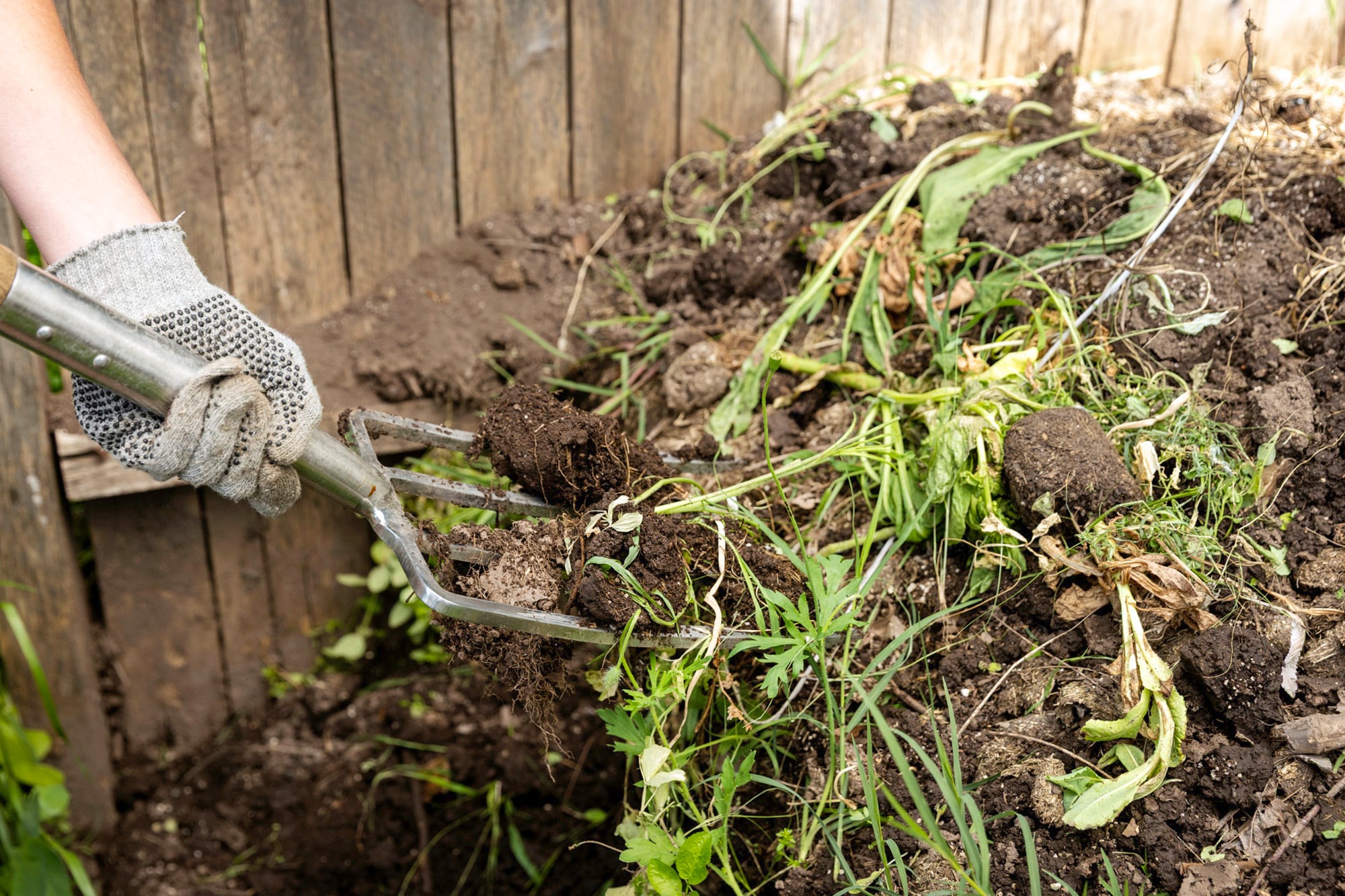 El otoño es la estación para enriquecer el suelo, se debe incorporar compost o humus de lombriz al sustrato