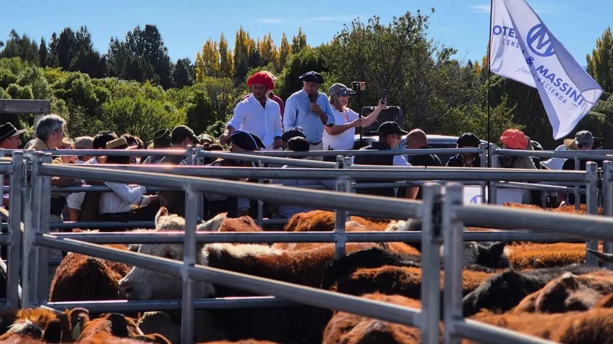 Facturaron $1300 millones: Bariloche tuvo un día histórico con la ganadería