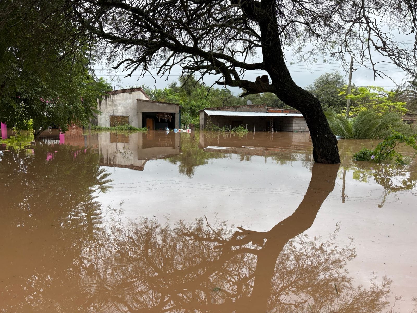 Niogasta inundado, una postal del drama en Tucumán