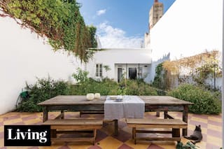 Cómo incorporar plantas nativas en cualquier casa o departamento