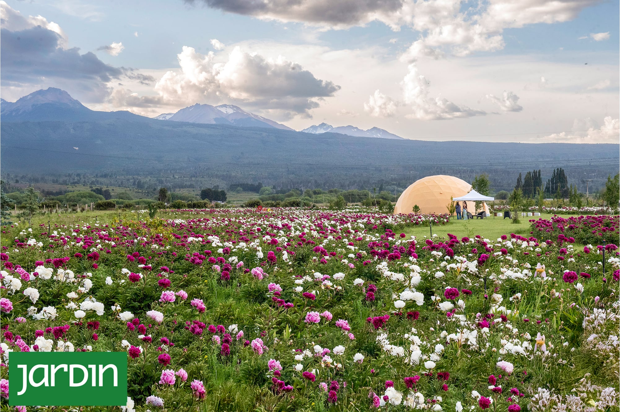Tiene más de 150.000 flores, abre solo unas semanas y ya es uno de los jardines más sorprendentes de la Patagonia