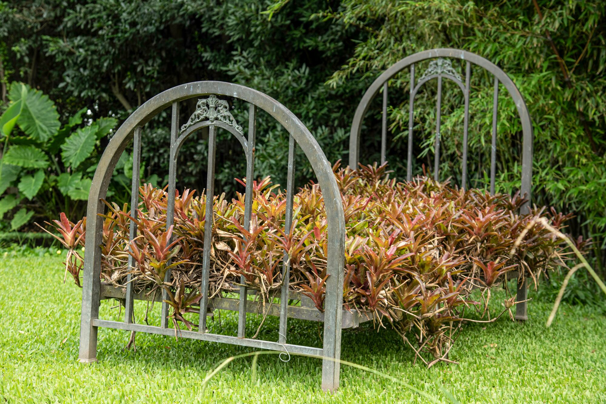 Una antigua cama de hierro se transforma en escultura y punto focal