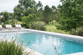 Estas son las flores ideales para cultivar al borde de la pileta