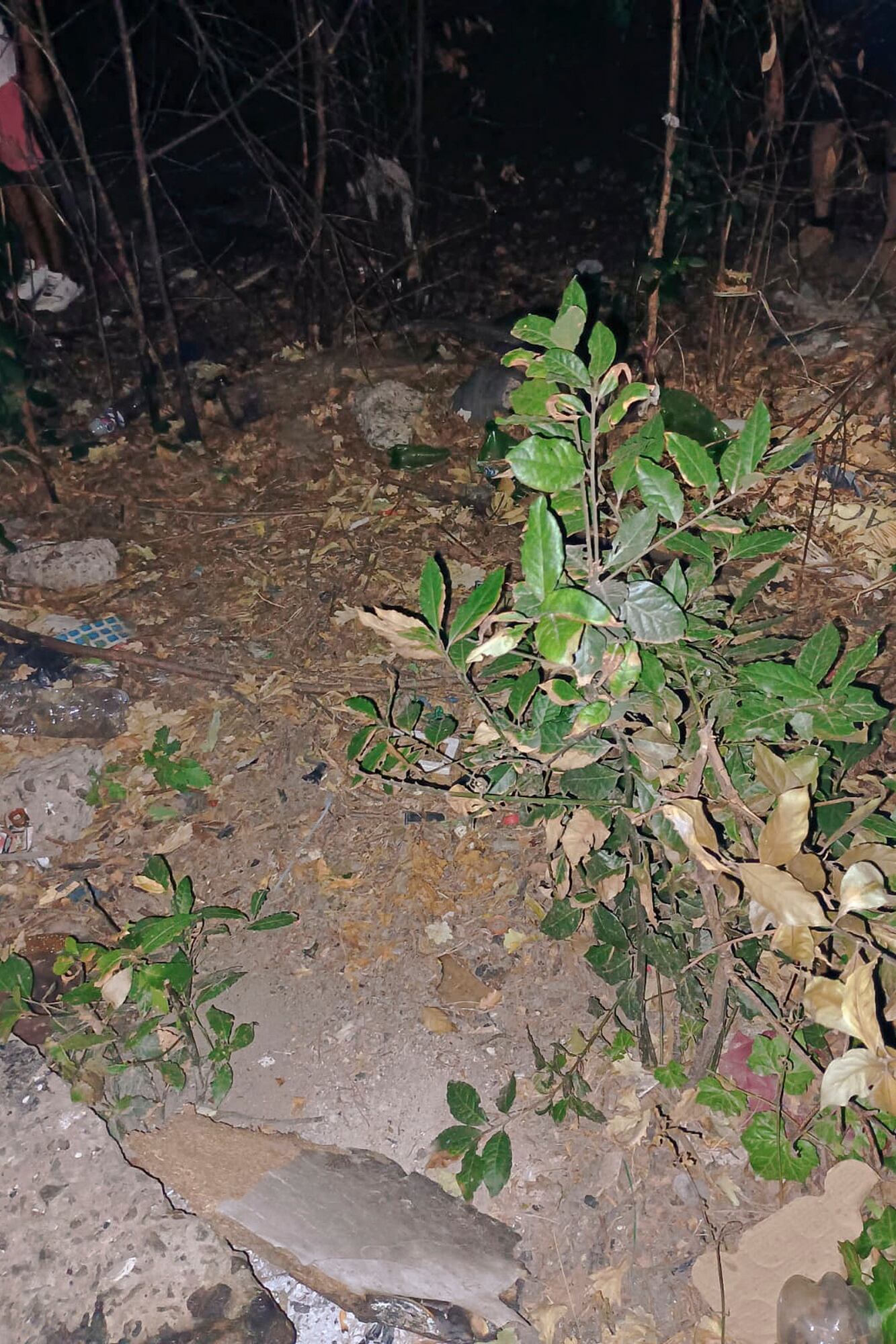 Escena del doble crimen en Florencio Varela