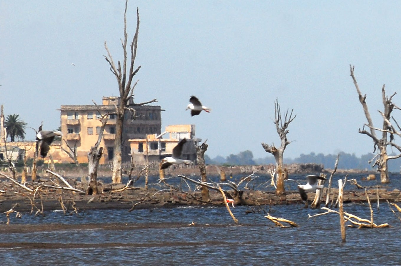 El hotel Viena fue declarado patrimonio cultural local en 2005.