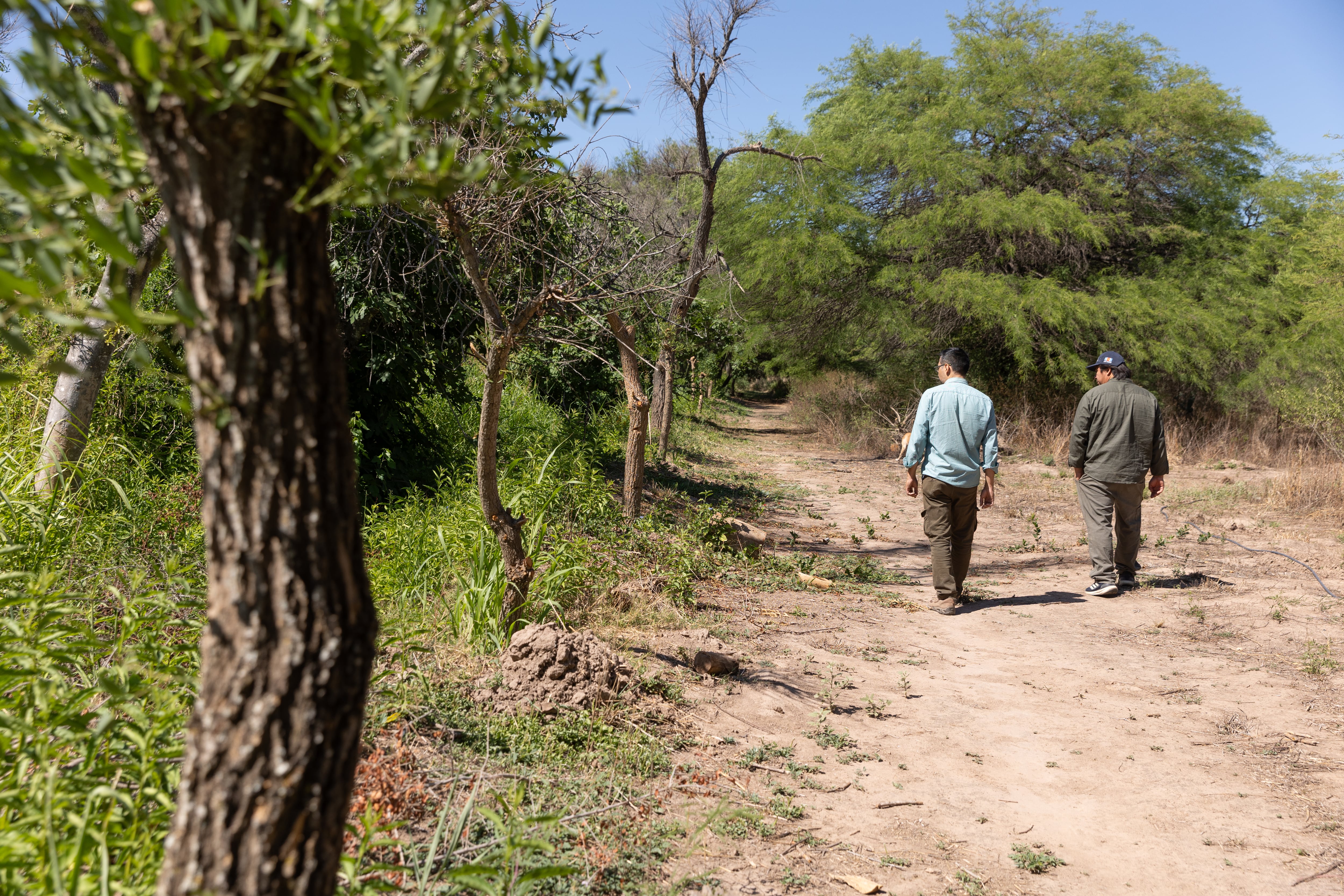 La reserva de Mario Paz, en los alrededores de Santiago capital