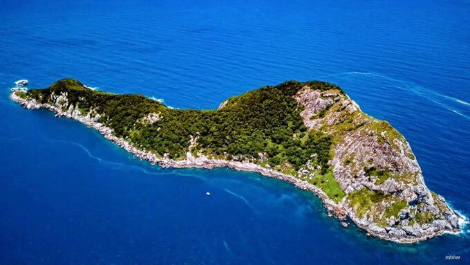 Un youtuber ingresó a una de las islas más peligrosas del mundo, repleta de cobras