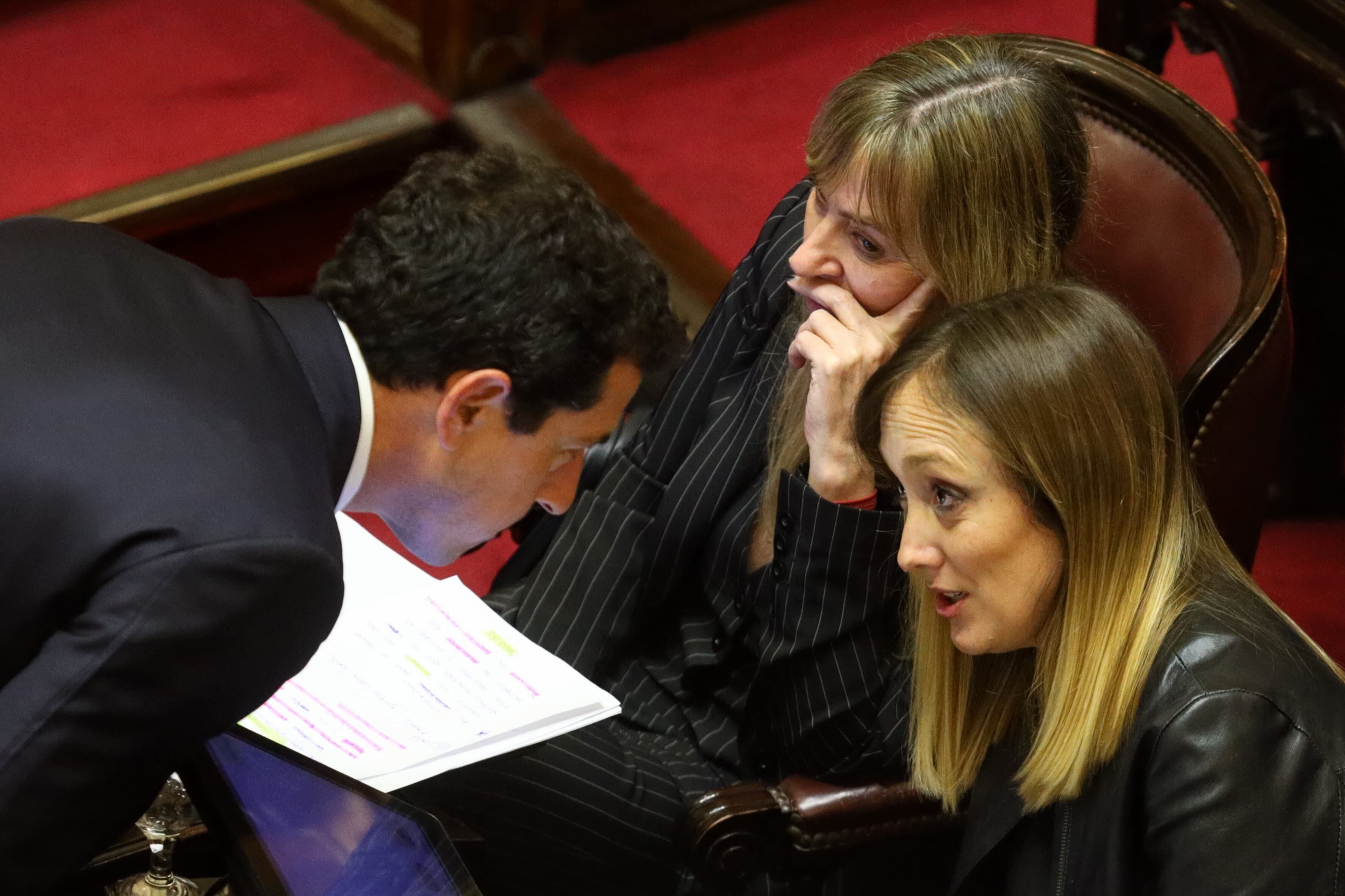 De Pedro, Di Tullio y Sagasti durante el debate por Ficha limpia en el Senado de la Nación