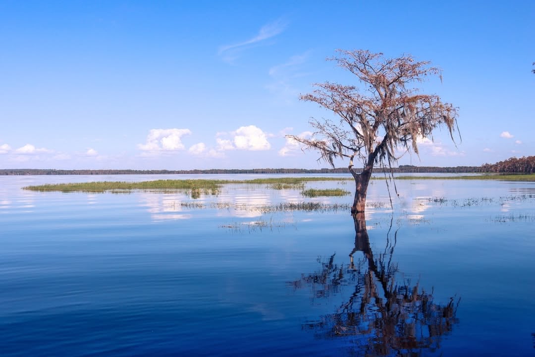 Las nuevas regulaciones prevén mantener niveles de agua adecuados en los ríos Lower Santa Fe e Ichetucknee
