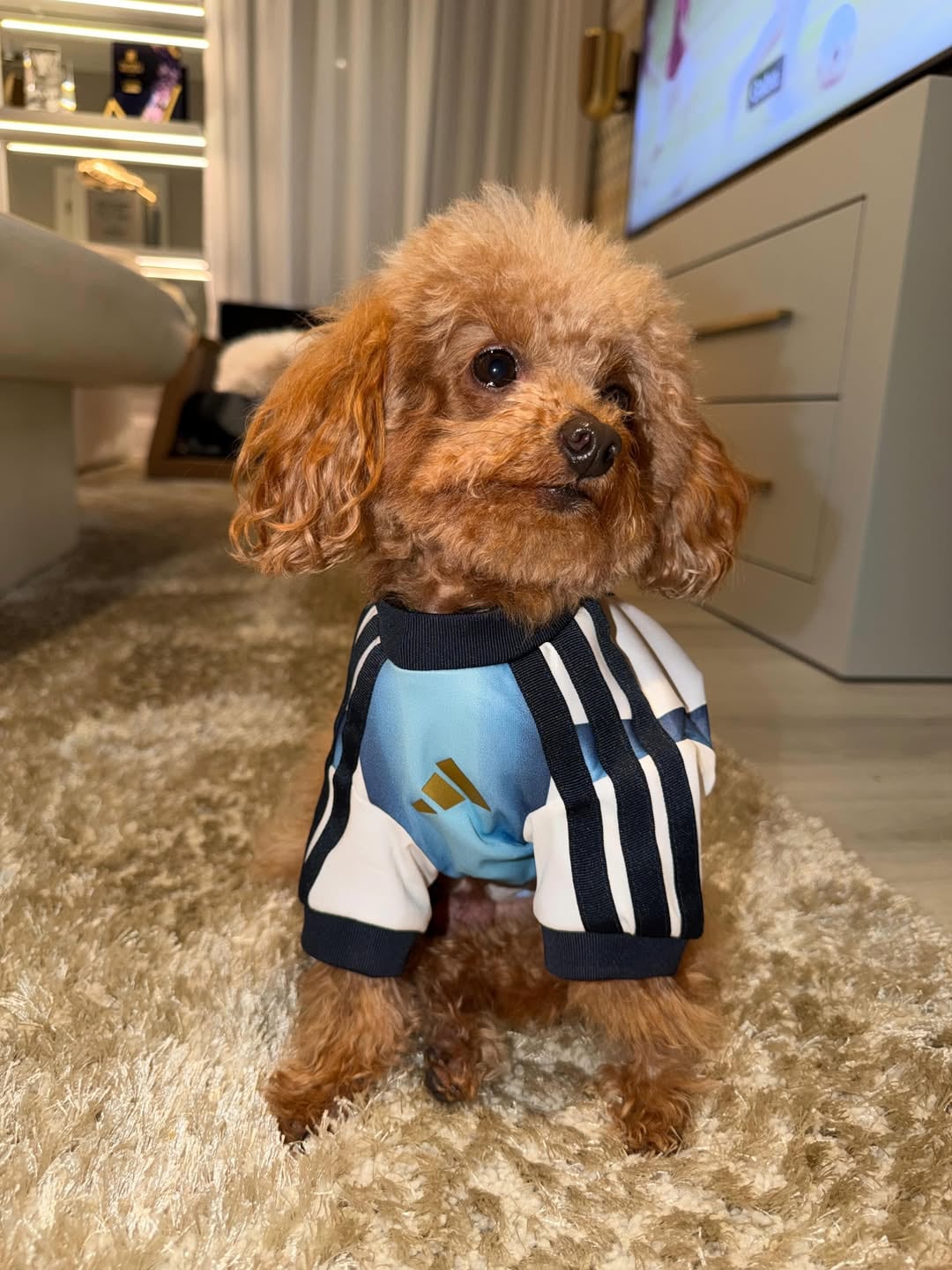 Abú, listo para el Mundial (Foto: Instagram @antonelaroccuzo)