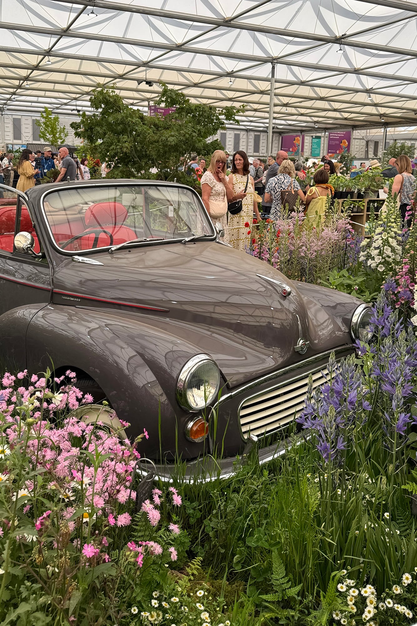 La edición 2026 del Chelsea Flower Show que se realiza todos los años en Londres
