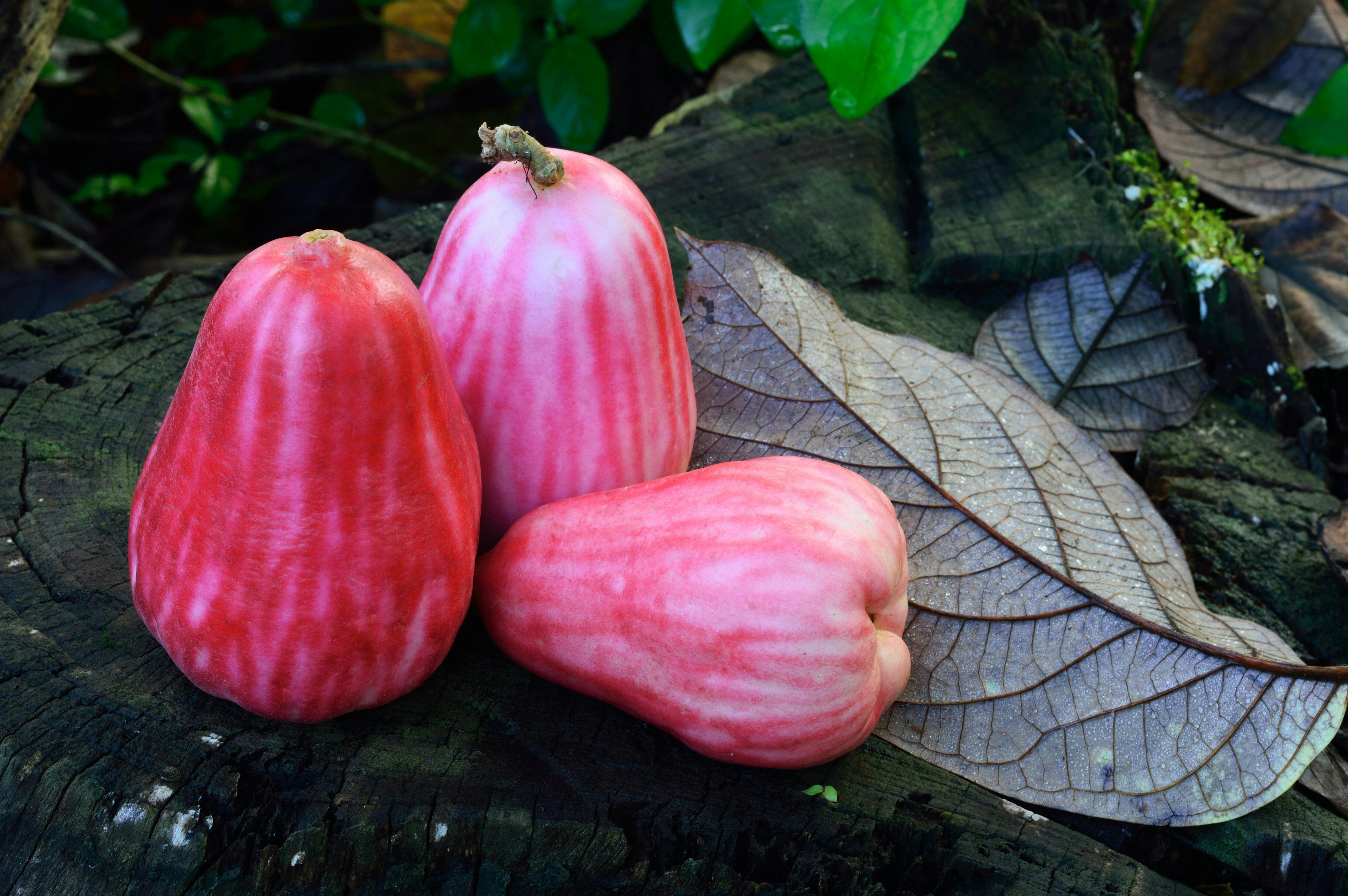 El fruto dulce que produce se consume en forma de jaleas y mermeladas