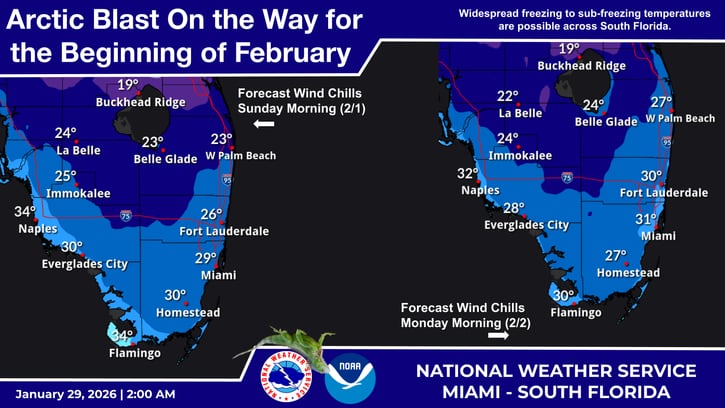 Febrero comenzará con temperaturas significativamente bajas en Miami y sus alrededores