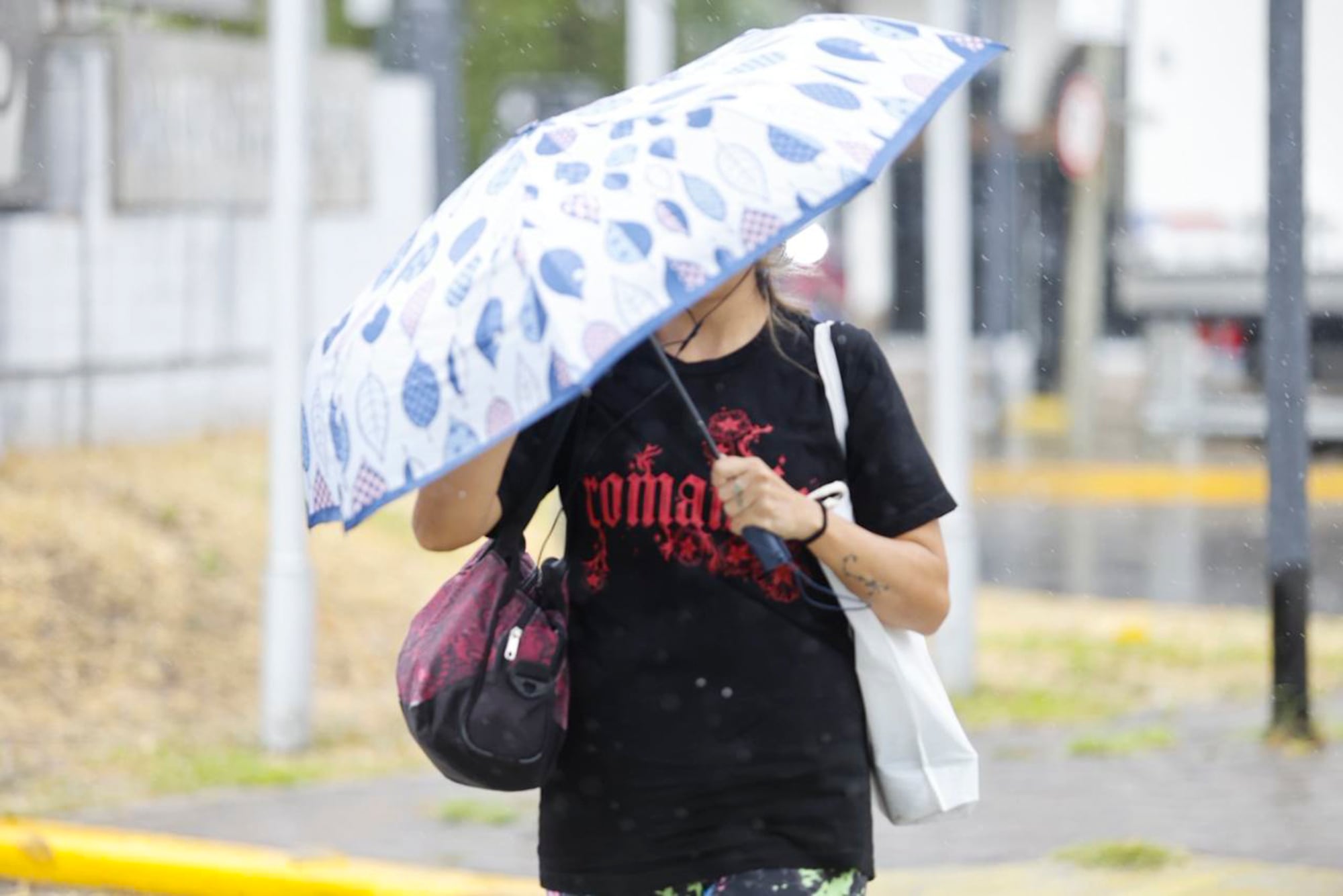 Rigen alertas por lluvias en cuatro provincias argentinas