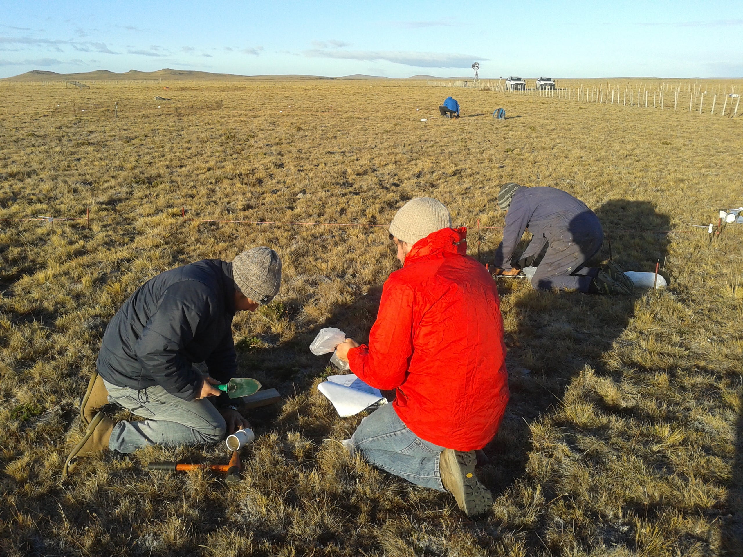 Trabajo en los campos de Santa Cruz para relevar el estado del suelo y el futuro de los pastizales