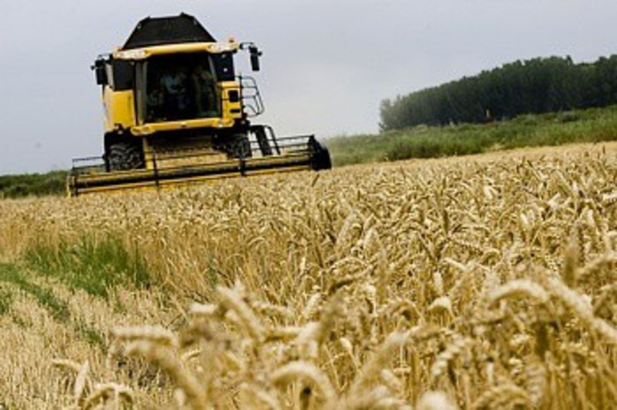 En la Argentina, las cosechadoras muestran una mejor performance de costos, situándose “un 7% por debajo del precio promedio de la región”