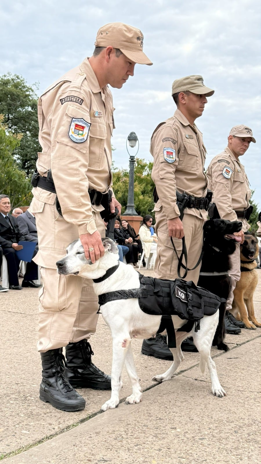 Desde Prefectura destacaron sobre Mía