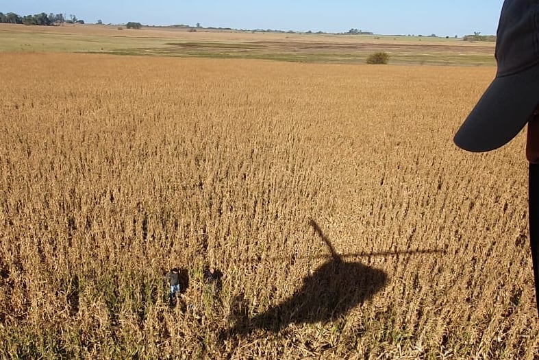 Narcovuelos: un vendedor de criptomonedas cordobés y un vecino de un country de Pilar, a juicio como líderes de una banda