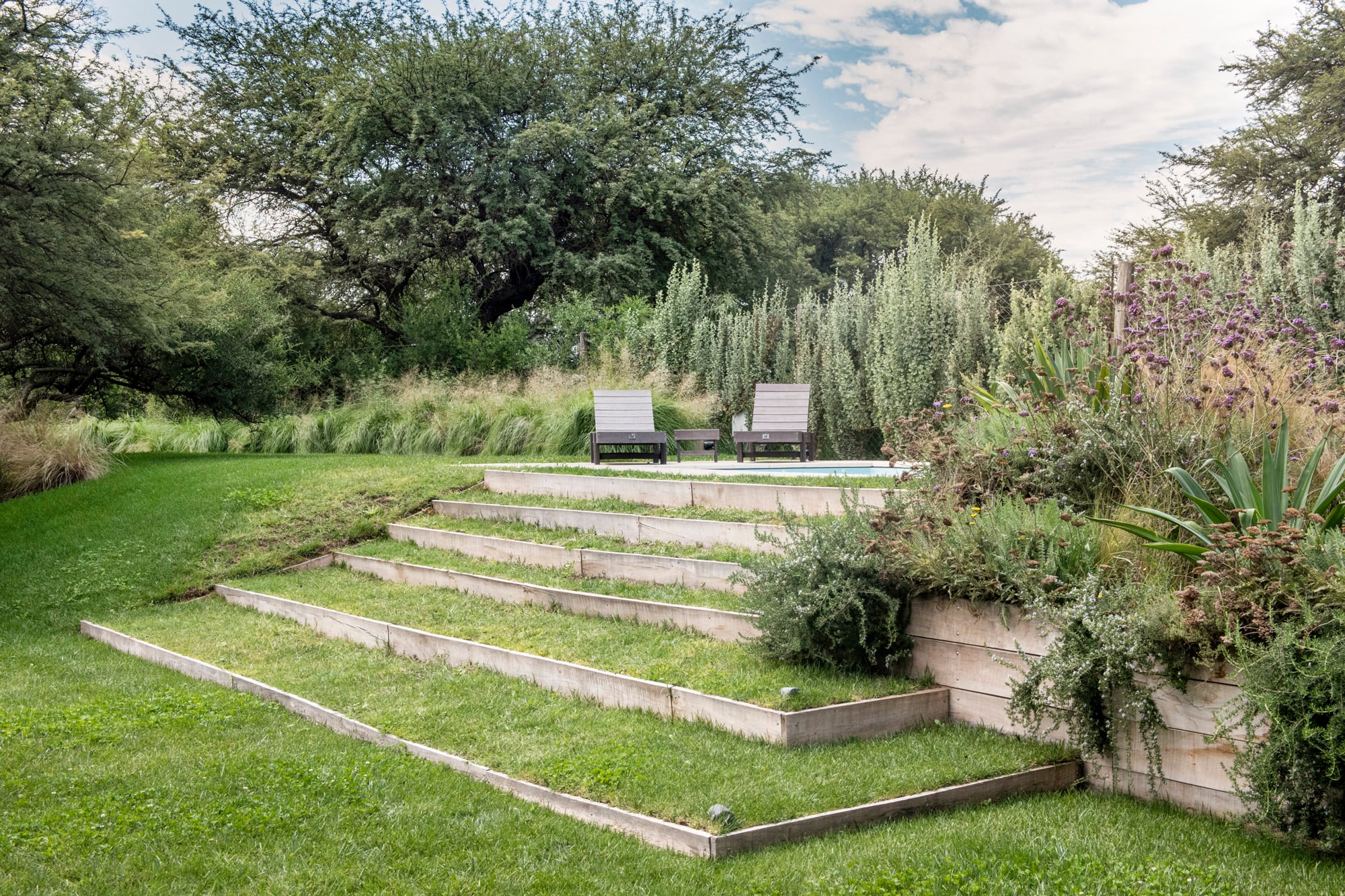 Las plantas suavizan las transiciones y refuerzan la idea general del diseño en los terrenos con desniveles