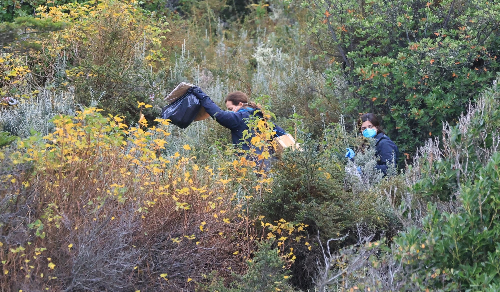 Senderos de difícil acceso en el operativo de captura de ejemplares del ratón colilargo en más de un centenar de puntos en Ushuaia