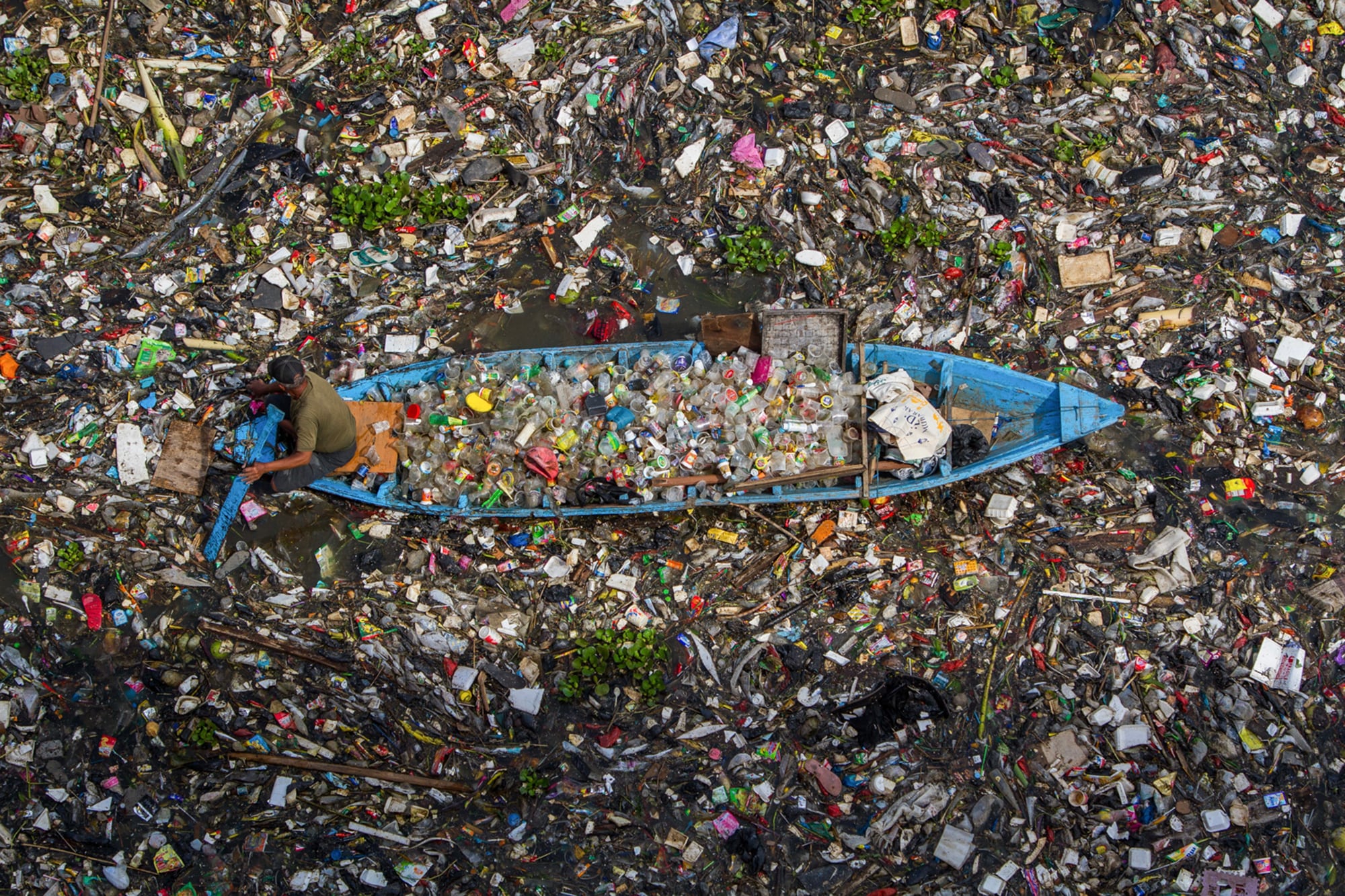 Hoy existen cinco grandes islas de basura que se distribuyen en todos los océanos del planeta